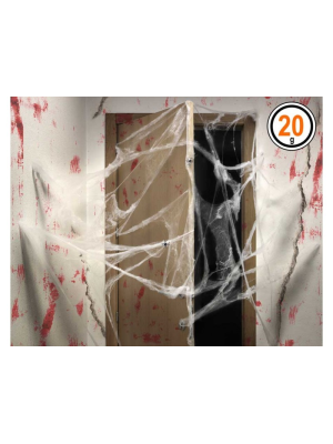 Web 20