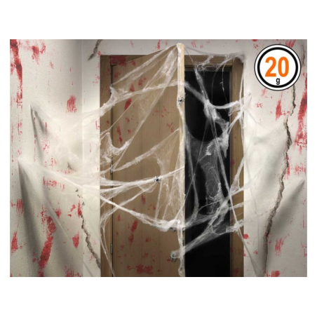 Web 20