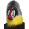 Maskara Baboon
