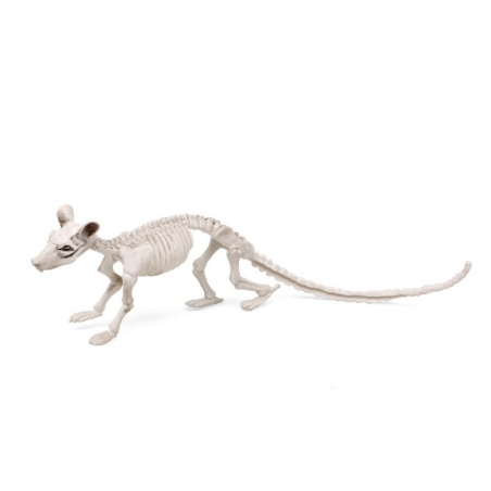 Hezurdura Arratoi