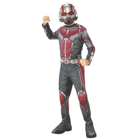 Disfressa d'Ant-man-Nen