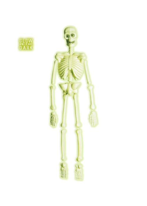 Esqueleto 90 cm Fosforescente - Calaveras y Esqueletos
