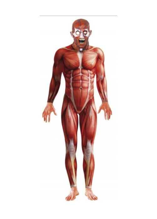 Mozorro Anatomia Gizon