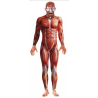 Mozorro Anatomia Gizon
