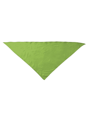 Pañuelo Triangular Verde - Pañuelos