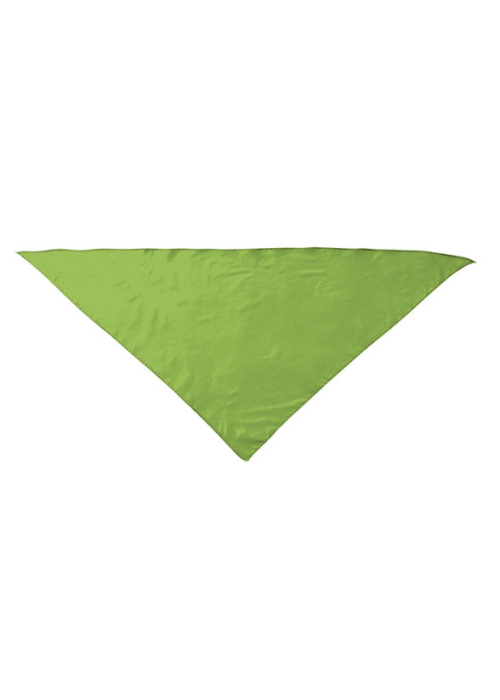 Pañuelo Triangular Verde - Pañuelos