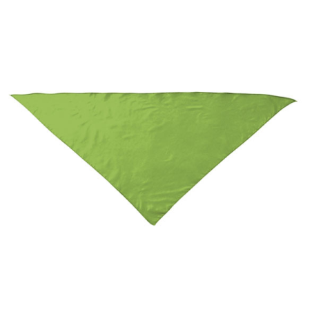 Pañuelo Triangular Verde - Pañuelos