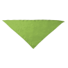 Pañuelo Triangular Verde - Pañuelos