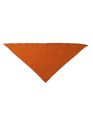 Pañuelo Triangular Naranja - Pañuelos