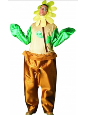 Comprar Disfraz de Flor - Disfraces de Flores Frutas y Verduras Adultos