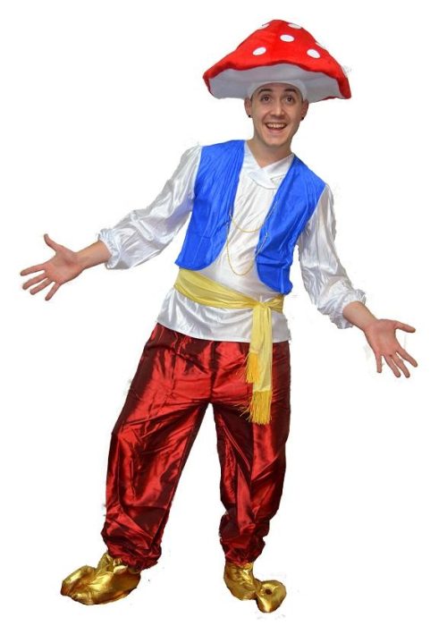 costume mushroom