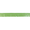 Erosi Garland Fringe Plastikozko Berdea bakarrik 3.60€ – mozorro Denda online