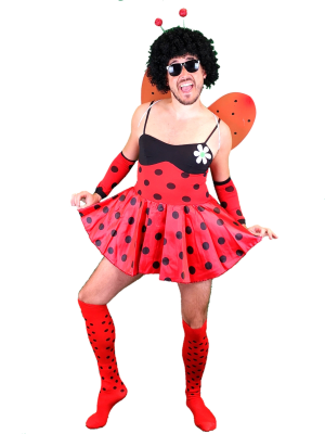 Disfraz de Bicho Mariquita  - Disfraces despedidas de soltero - Disfraces Despedida Soltero