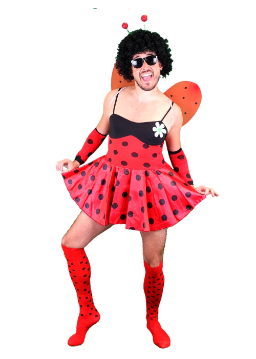 Disfraz de Bicho Mariquita  - Disfraces despedidas de soltero - Disfraces Despedida Soltero