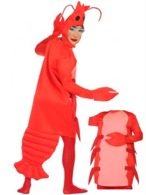 Disfraz de Gambita Roja