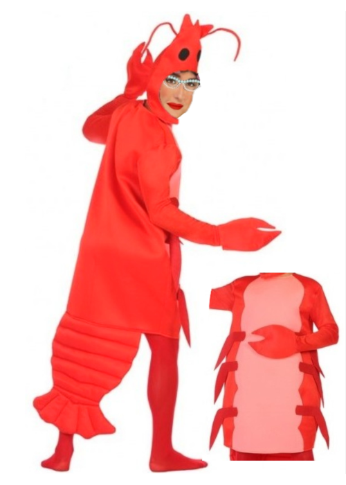 Disfraz de Gambita Roja