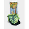 Comprar Tanga Adan - Tangas y Lenceria 