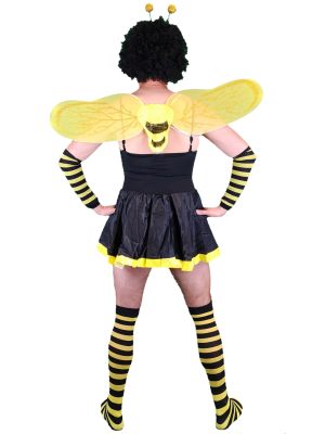 Disfraz de Bicho Avispon - Disfraces Despedidas de Soltero - Productos Amazon