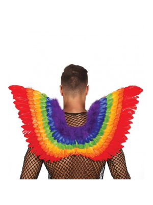 Alas Plumas Multicolor - COMPLEMENTOS POR CATEGORIA