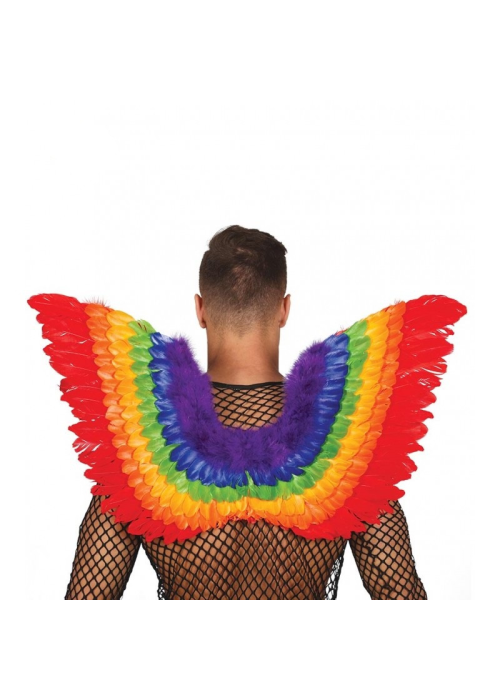 Alas Plumas Multicolor - COMPLEMENTOS POR CATEGORIA