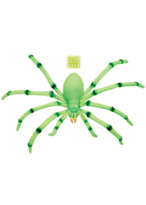 Araña Fosforescente Grande - Animales y Bichos