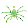 Araña Fosforescente Grande - Animales y Bichos