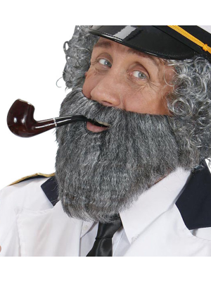 La barbe avec Moustache Grise