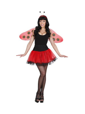Set of Ladybug