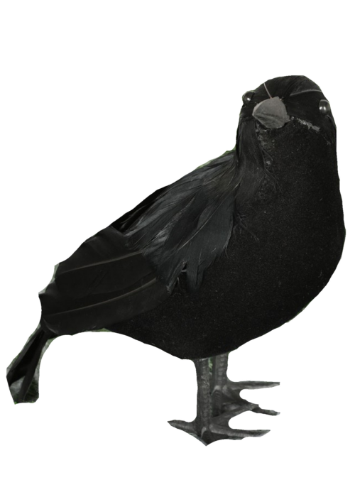 Cuervo 25cm - Animales y Bichos