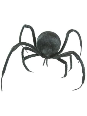 Araña Viuda Negra - Animales y Bichos