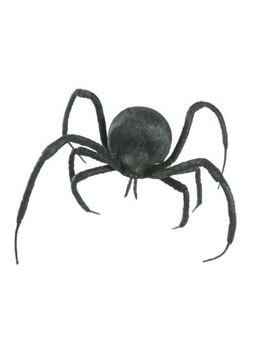 Black Spider