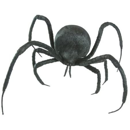 Araña Viuda Negra - Animales y Bichos