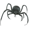 Black Spider