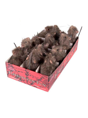 Arratoi Furry
