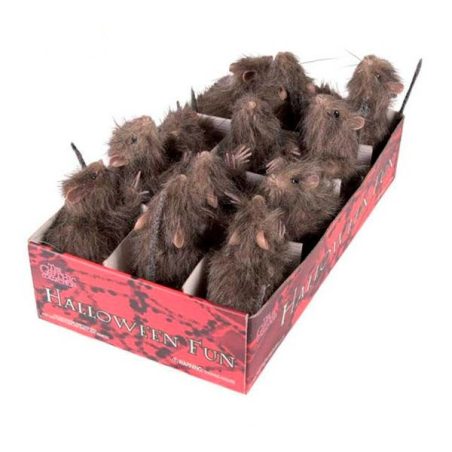 Rata Peluda