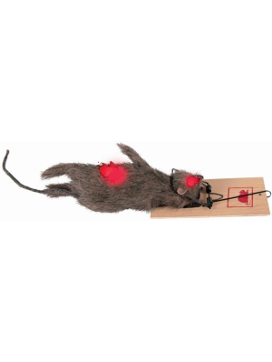 Rat in Trap