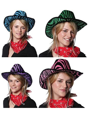 Sombrero Cebra Colores - Sombreros