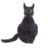 Gato Negro Latex 35 cms