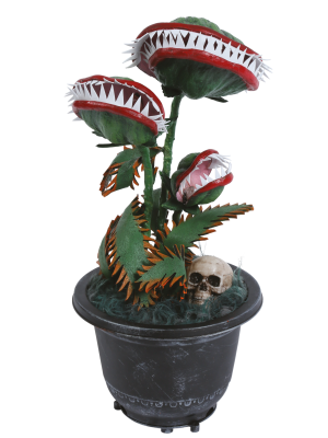 Planta Carnivora Decorativa - Otros