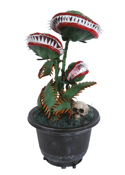 Planta Carnivora Decorativa - Otros