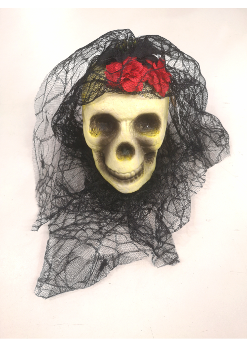 Craneo Calavera Catrina - Calaveras y Esqueletos