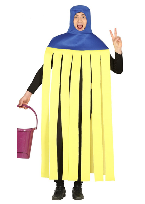 Disfressa de Fregona