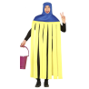 Disfressa de Fregona