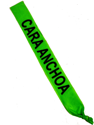 Banda Cara Anchoa - Bandas para Despedida