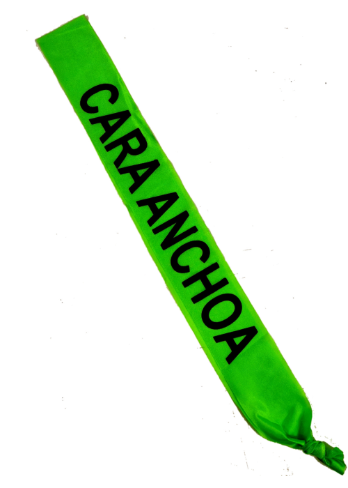 Banda Cara Anchoa - Bandas para Despedida