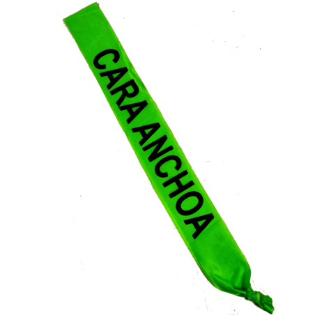 Banda Cara Anchoa - Bandas para Despedida