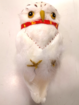 Hibou Plumes Blanches