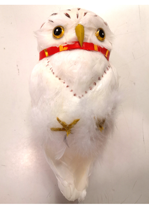 Lechuza Plumas Blancas - Animales y Bichos