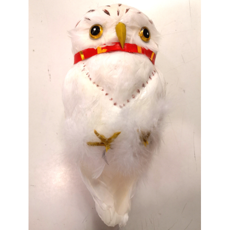 Lechuza Plumas Blancas - Animales y Bichos