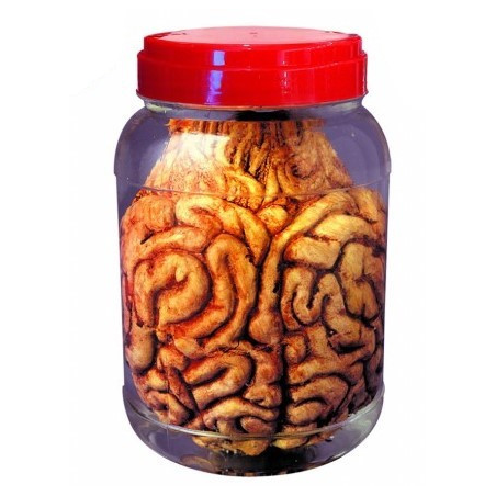 Tarro de Laboratorio Cerebro - Organos y Miembros Sangrientos